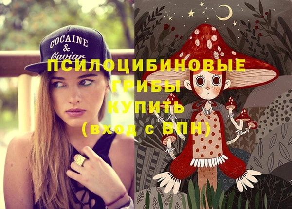 ALPHA-PVP Пролетарск