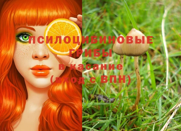 каннабис Алзамай