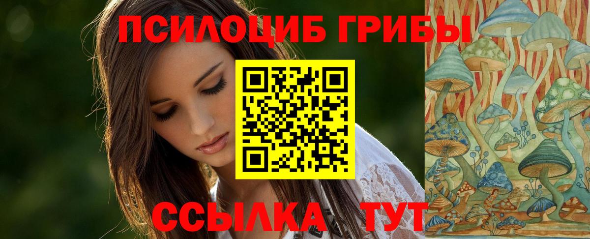 Галлюциногенные грибы GOLDEN TEACHER  Галлюциногенные грибы Cubensis  Вход с VPN  Амурск 